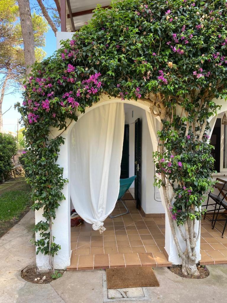 Bellver 1, Ciutadella-Cala Blanca Cala Blanca  Szoba fotó